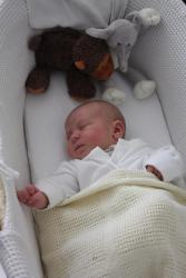 baby in Moses basket