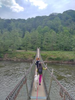 group of people cross a rope bridge