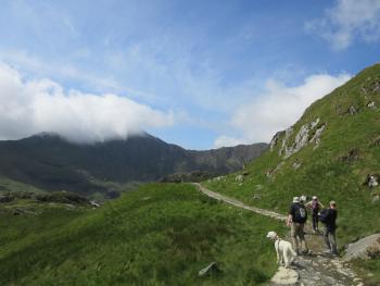 group looks out over mountains