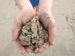 child's cupped hands holding sand