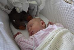 Image of a baby asleep in a Moses basket